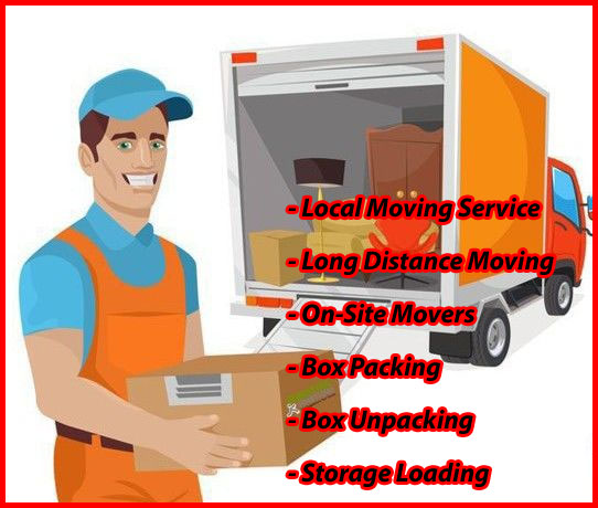 Packers And Movers Noida Sector 79